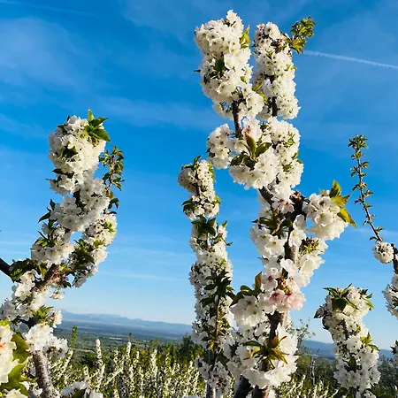 펜션 La Abuela Obdulia *