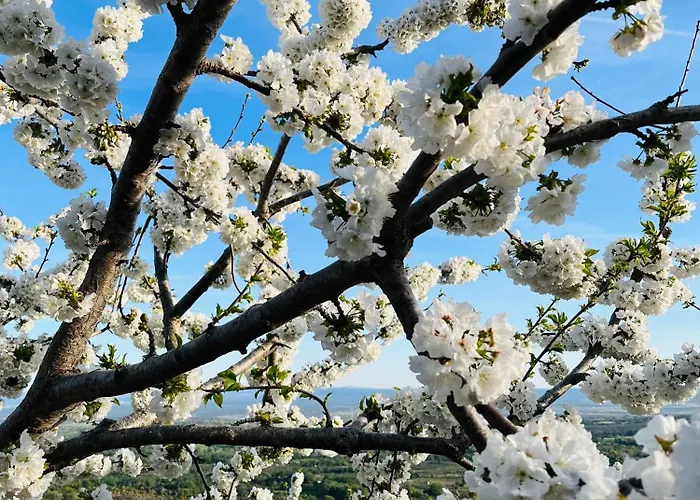 La Abuela Obdulia Vakantiehuis